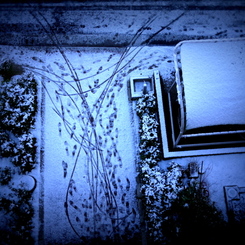 積雪