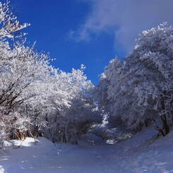 ようこそ雪の世界へ