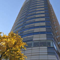 HOTEL NEW GRAND