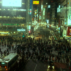 Shibuya at Night #14
