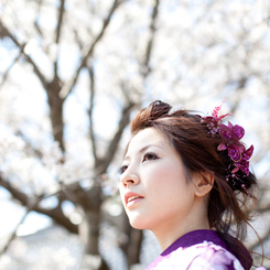 桜と紫