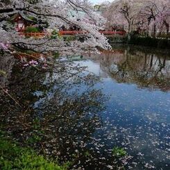 水面深く