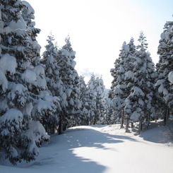 福井県の雪山