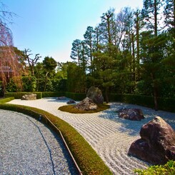 妙心寺　元信の庭４