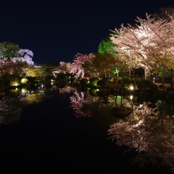 百色の池