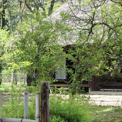 白川郷に行きたくなるね