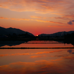 田園夕景