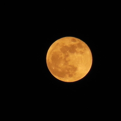 5月6日