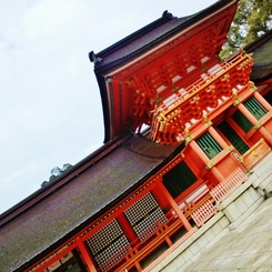 P1000478