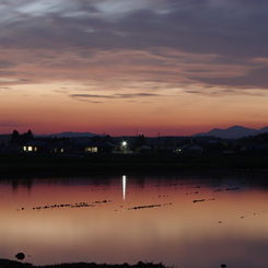 田圃の湖