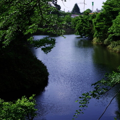 鶴ヶ城のお堀