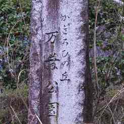 かぎろひの丘　万葉公園　　7651