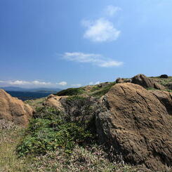 原野