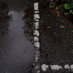 大井神社１
