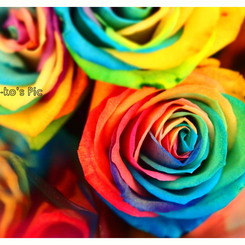 Rainbow