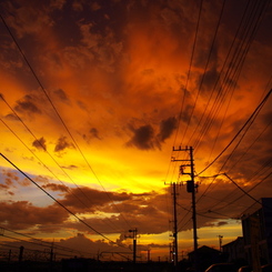 紅い夕焼け
