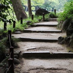 坂道