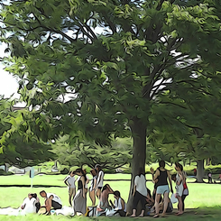 Liveｓ in the Park Vol,1 04