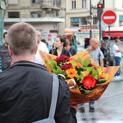 Flower