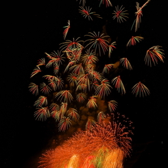 長岡花火大会2012_DSC00666