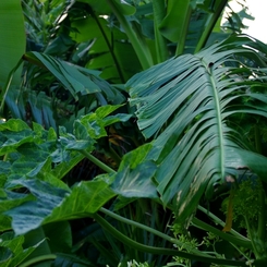 IMGP0860-1