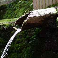 水の流れ美しき