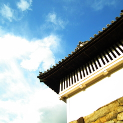 城