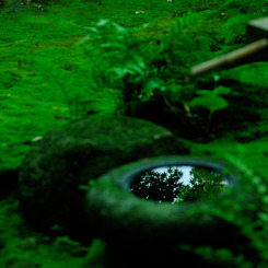 水の鏡