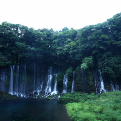 白糸の滝（１１）