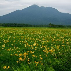 尾瀬　燧岳
