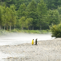 朝霧の中で