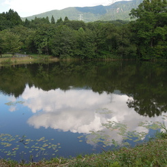 沼のほとりで-4