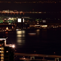 ビーナスブリッジの夜景から