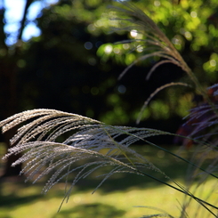 5D-2012_10_03-2733s