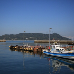 5D3_2860s