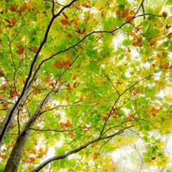 紅葉山行　その１