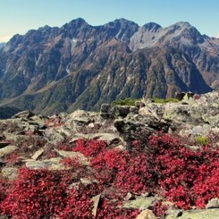 穂高岳と紅葉