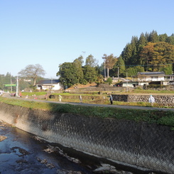 川辺の田園風景　かかし
