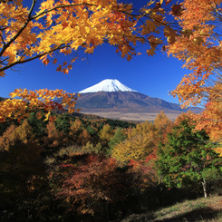 富士と紅葉