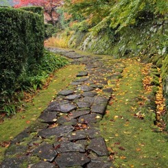 石畳の参道