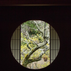 悟りの窓