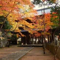 山門の徳