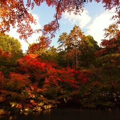 京都補完計画 其ノ佰