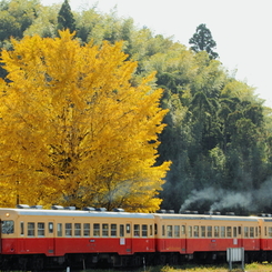 晩秋の田園駅