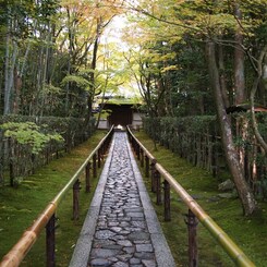 京都補完計画 其ノ佰弐拾壱