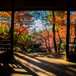 紅葉の見える茶屋に