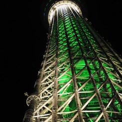 緑・スカイツリー