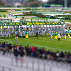 IMGP5409-tiltshift-3