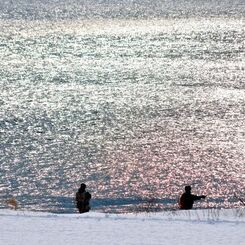 fisherman