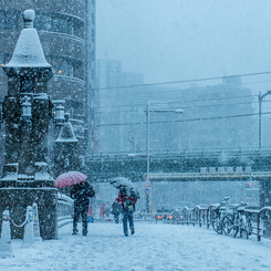 ある雪の日の秋葉原(万世橋１)